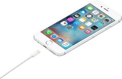 Apple Lightning 0.5 m ME291ZM/A Data ve Şarj Kablosu Outlet